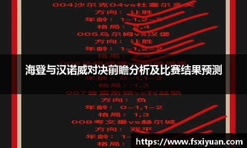 海登与汉诺威对决前瞻分析及比赛结果预测