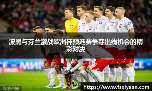 波黑与芬兰激战欧洲杯预选赛争夺出线机会的精彩对决