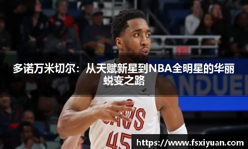 多诺万米切尔：从天赋新星到NBA全明星的华丽蜕变之路