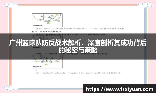 星空.综合体育官网