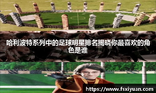 哈利波特系列中的足球明星排名揭晓你最喜欢的角色是谁