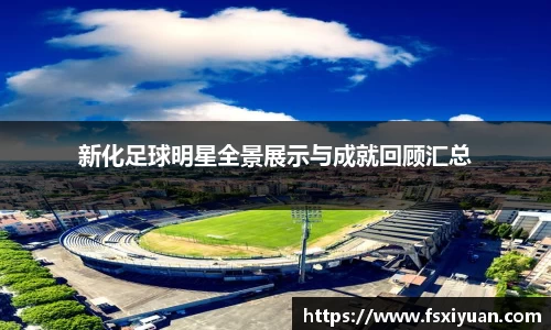 新化足球明星全景展示与成就回顾汇总